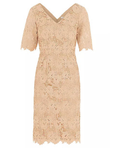 Kaleidoscope Champagne Lace Shift Dress