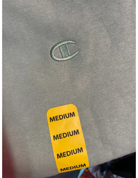 Champion Long Sleeve Pale Green Sweater