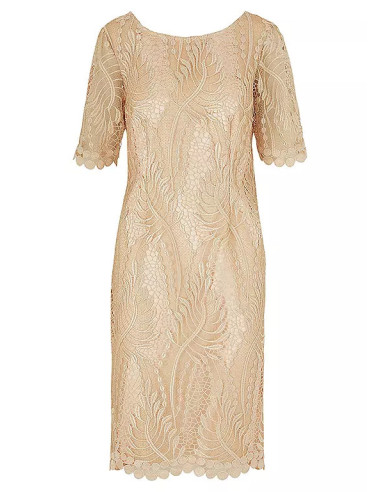 Kaleidoscope Champagne Lace Shift Dress