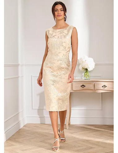 Kaleidoscope Champagne Floral Jacquard Dress & Jacket